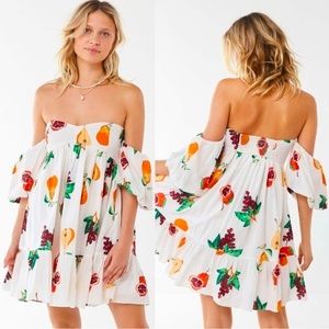 NWT Urban Outfitters Summer in Italy Fruit Dress